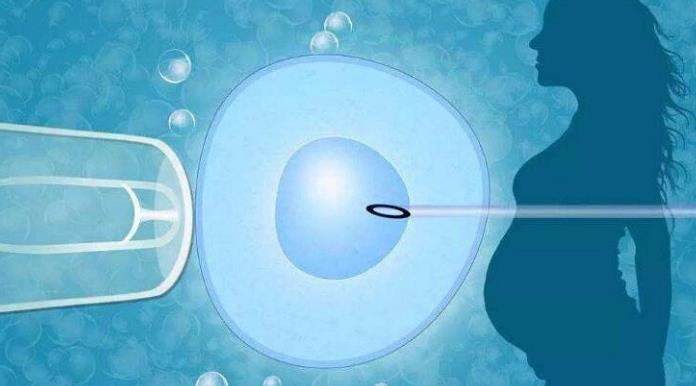 胖女人做试管有影响吗正常人做试管成功率高不高