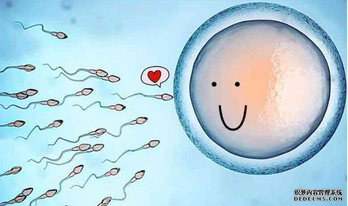 6种食物消肿很厉害，常吃还你轻盈好身材