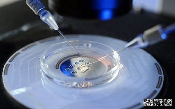 吃完紫薯千万别碰5种食物，再馋都要管住嘴