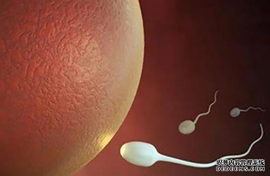 吃完紫薯千万别碰5种食物，再馋都要管住嘴