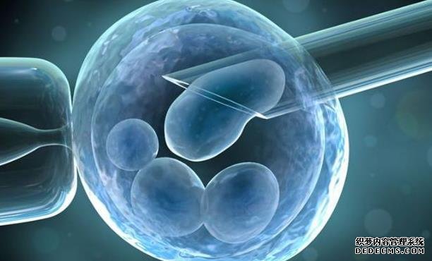 昆明想做代怀妈妈 昆明供卵试管怎么样? ‘四维彩超心率看男孩女孩’