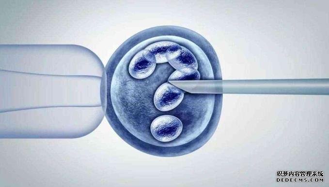 夫妻北京代孕 北京能够提供试管的医院 ‘一般b超男宝宝会看错吗’