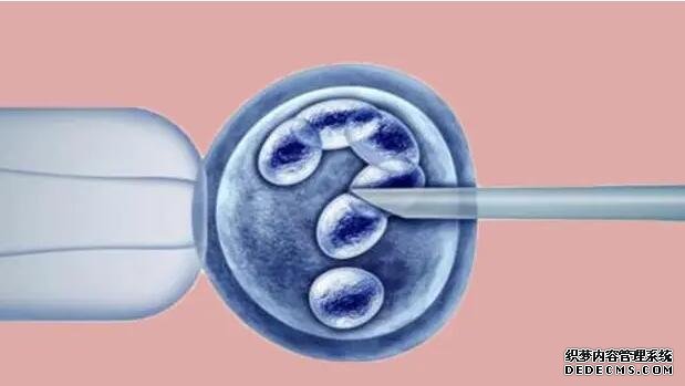 夫妻北京代孕 北京能够提供试管的医院 ‘一般b超男宝宝会看错吗’