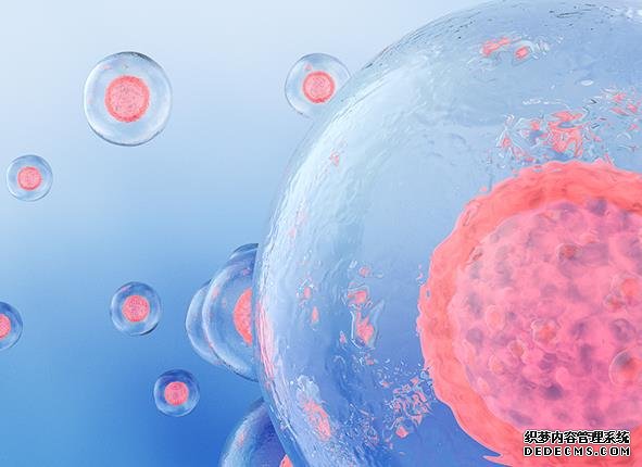 女性160斤做二代试管婴儿成功率有多少？-广州附属第三医院试管婴儿