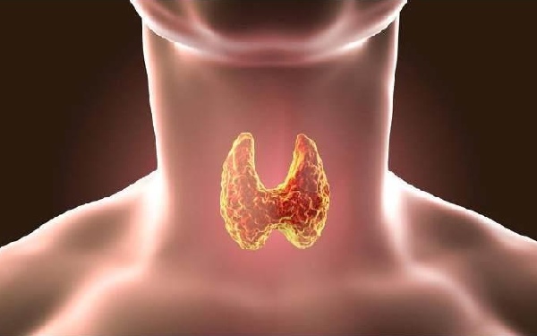 深圳三代试管 试管助孕详细：2022深圳第三代试管婴儿医院费用多少？ ‘怀孕六个多月彩超单子女孩图片’