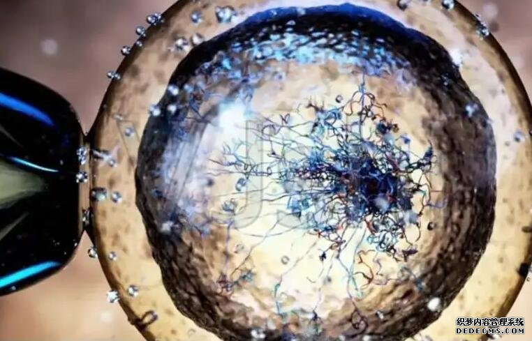 龙婴助孕网_什么叫第三方助孕_夫妻花2.2万找“专家”做试管婴儿生男孩，之后的事令人傻眼！