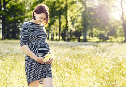 三代试管总费用多少，三代试管费用具体明细