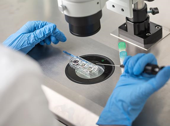 辽宁做试管婴儿的费用是多少？辽宁试管婴儿补助政策，辽宁试管婴儿医院排名