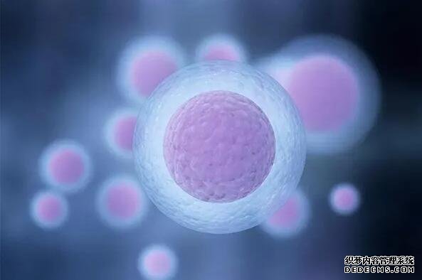 武汉专业做代怀 武汉同济做试管要多久？能做第三代手术吗 ‘孕妇坐着肚型扁扁的是女孩子吗?’