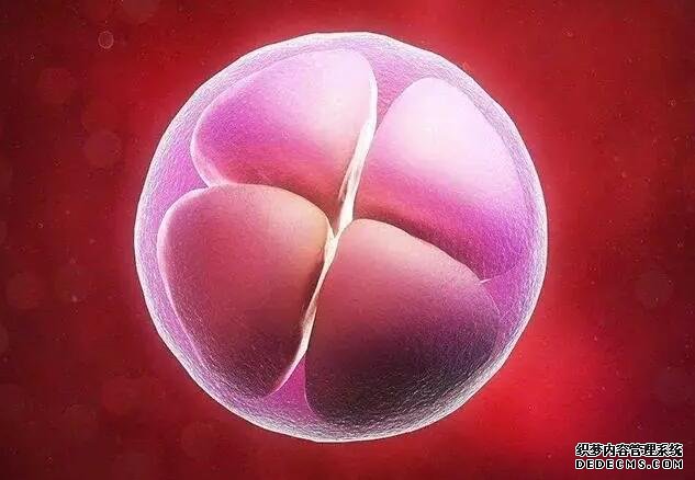 2022上海市一医院试管婴儿成功率一览，附试管成功经验分享-试管婴儿不成功有几大原因