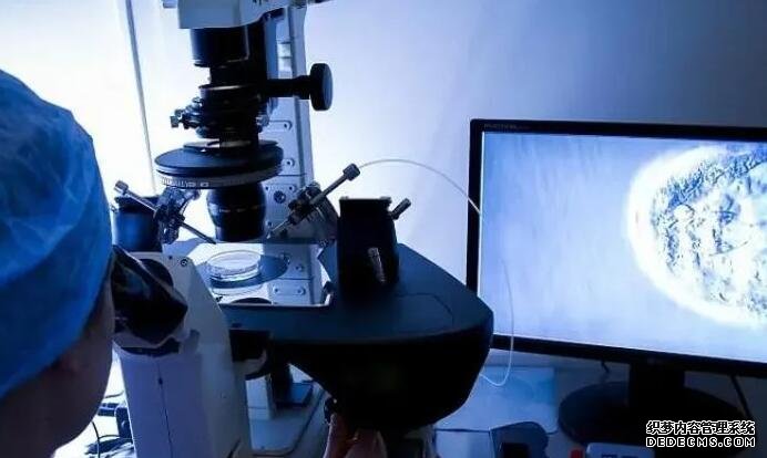 武汉三代试管医院排名 武汉试管婴儿医院 ‘代孕症状一样，男孩女孩都一样吗’