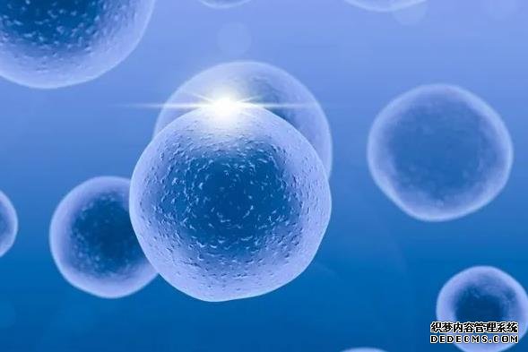 南京生殖中心医院在哪 南京市妇幼保健院做供精试管流程包括哪些步骤？ ‘13周nt男孩女孩区别’