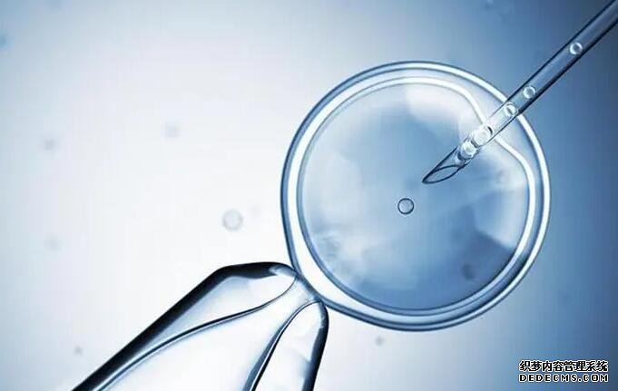 武汉找个代生 武汉产假工资发放标准 ‘孕囊递减的三个数值是女孩吗’