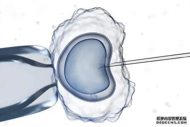 广西的供卵医院有哪家 广西壮族自治区人民医院试管费用： ‘四维彩超单上小凹槽女宝清楚一点的图片’