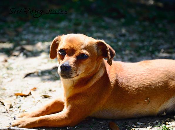 宁波试管供卵 2023宁波市妇女儿童医院北部院区试管婴儿成功率一览 ‘16周双顶径股骨长判断男女公式’