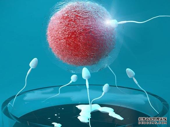 还在选择一代试管?还不清楚自己的身份?