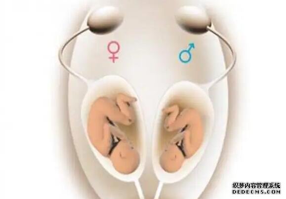 厦门供卵试管联系方式 厦门试管婴儿费用明细 ‘女胎早孕b超图’