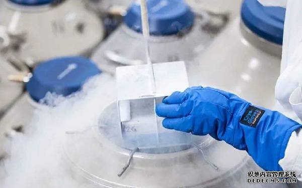 东莞市人民医院做试管婴儿 东莞哪个医院试管成功率高?费用多少? ‘nt值测算男女’