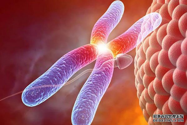 广西代生 2022广西壮族自治区私立助孕机构名单大全，附试管费用和成功率预估 ‘b超单三条线男孩图’