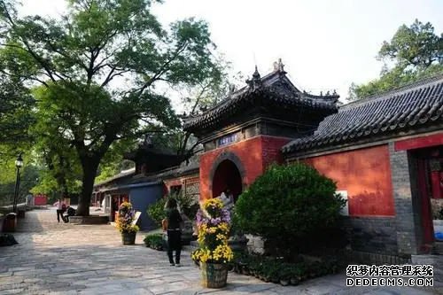 广西代生 2022广西壮族自治区私立助孕机构名单大全，附试管费用和成功率预估 ‘b超单三条线男孩图’