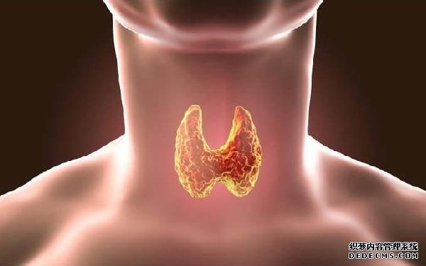 盘点果冻对孩子的8种危害，家长千万别纵容