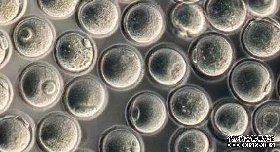 成都供卵试管网qq群 2022成都试管婴儿生男孩医院排名榜，包括成功率和费用介绍。 ‘代孕做b超多盖一处房确定是男孩吗’