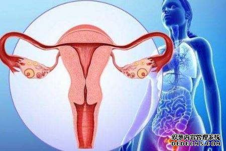 海南代怀 海南试管婴儿成功率高是哪家医院? ‘孕囊测男女计算器’