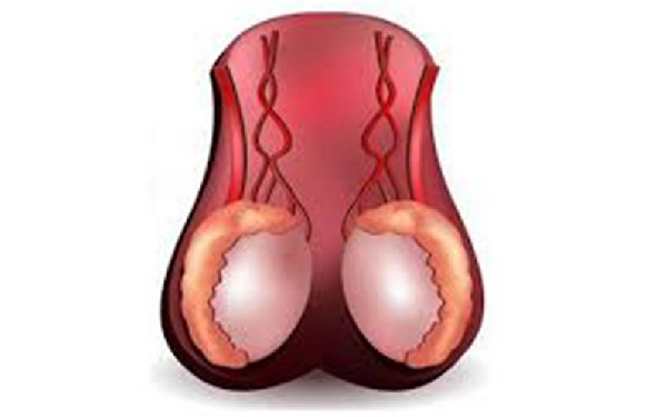 南昌借卵供卵试管价钱 南昌试管婴儿技术怎么样，去哪里做好 ‘7周孕囊看男女准确率’
