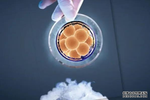 40岁以上女性卵巢功能衰退不可恢复，7个妙招可延缓早衰-短方案促排卵泡不均匀