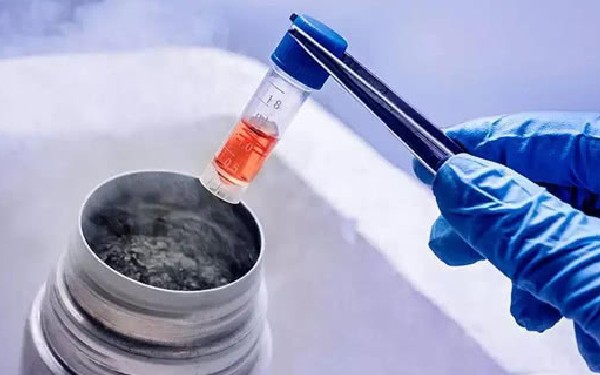 周口试管婴儿 周口试管婴儿医院有哪些，费用多少？ ‘男孕囊和女孕囊的区别’