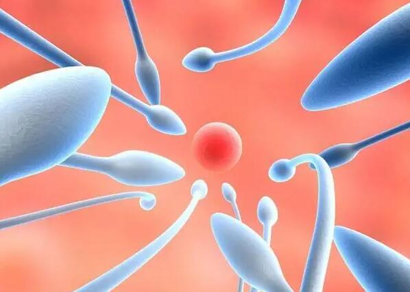 郑州试管补贴 郑州第二附属医院试管婴儿需要多少钱？怎样才能减少花销？ ‘孕囊1.8以下看男女’