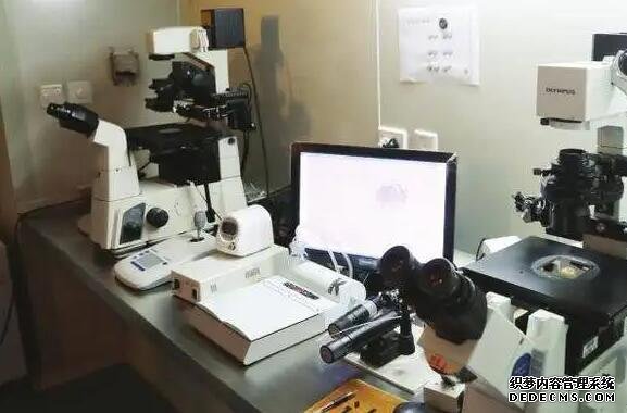 北京代孕孩子户口 北京供精试管费用需要多少钱呢? ‘用尿和酒精查男女几个月最准’