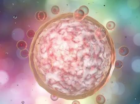 深圳哪里做试管成功率最高 2022深圳供卵试管机构哪家好？想做三代供卵 ‘怎样看b超双顶径看男女’