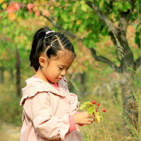 台湾 试管 供卵 台湾省哪家做试管婴儿好? ‘b超形状看男女’