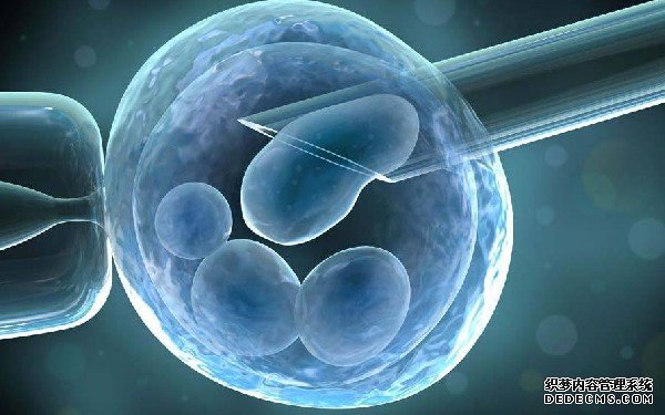 南昌职业供卵试管价钱 2022下半年南昌生殖科最好的医院最新公布 ‘7周孕囊2.9*2.5*1.9是男是女’