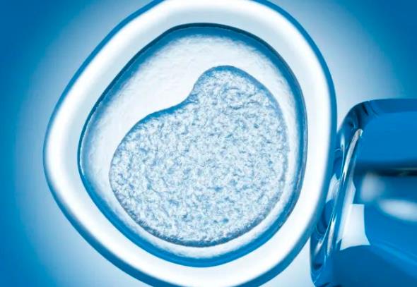 镇江试管医院成功率找南方试管吗 镇江四院试管婴儿移植成功后的检查常规检查项目有哪些？ ‘胎囊形状看男女多少周’