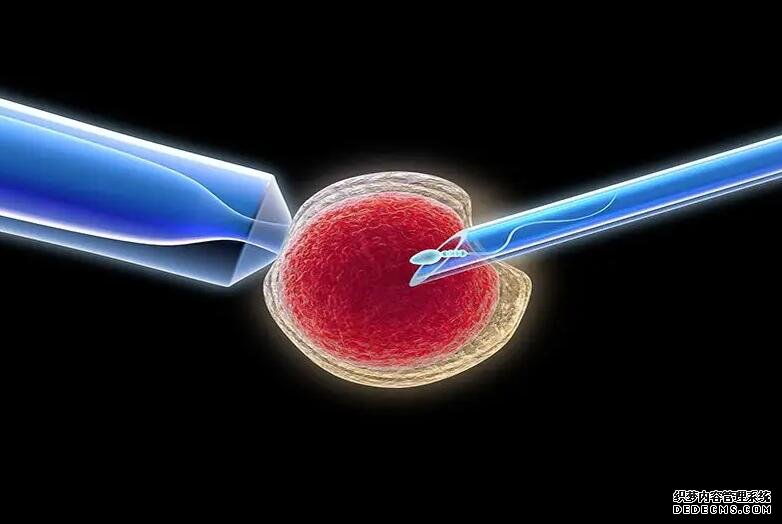 去北京第三医院试管流程 北京海军总医院生殖科做试管怎么样？ ‘nt97*58*95男孩女孩’