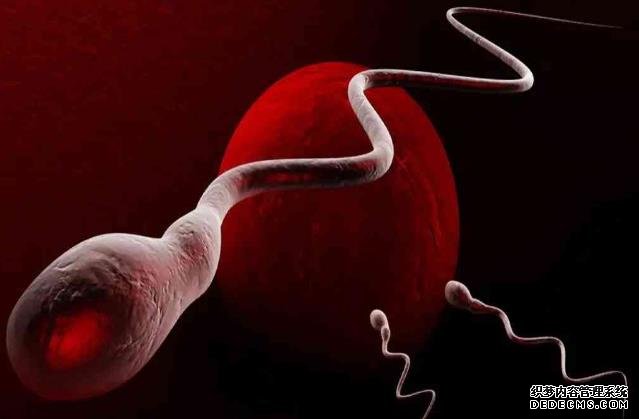 自然流产的原因一般是什么？-一般的胚胎能养囊成功吗