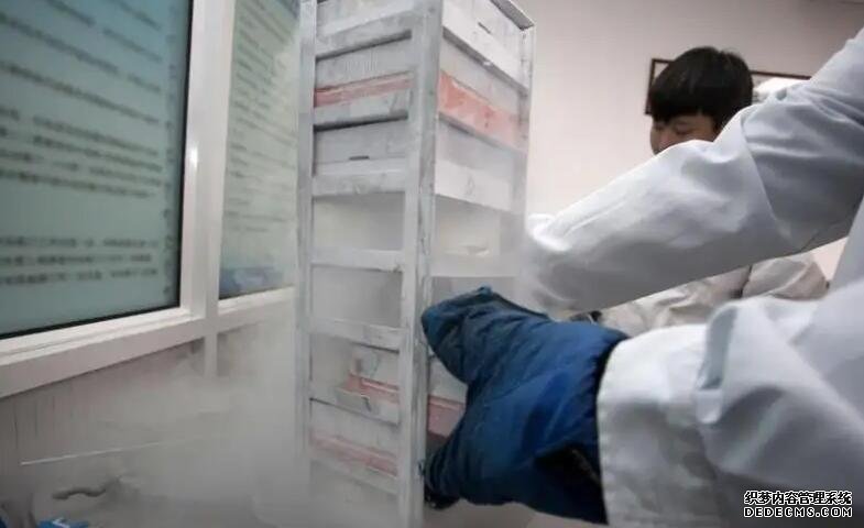 试管 流程 重庆 网友分享在重庆做四维彩超攻略 ‘三维彩超单3个数据看男女’