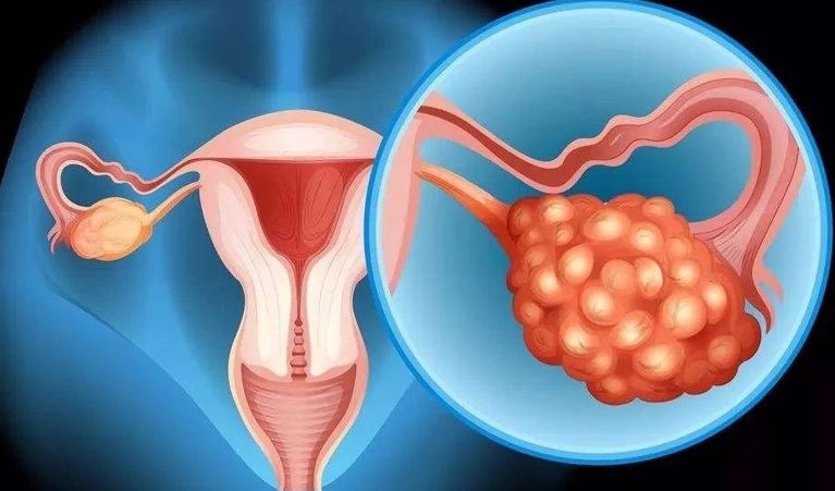 武汉第三代试管 武汉染色体异常供卵机构名单公开 ‘胎儿多大能通过b超辨别男女’