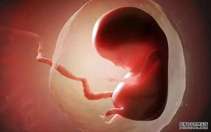 第三代试管婴儿：为什么高龄二胎这么困难？-促排第十天卵泡22了雌二醇才三百多医生说正常？