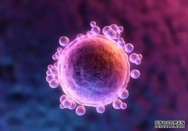 上海高龄供卵试管移植方案 2022上?？梢远陈训囊皆河心男?‘四维数据能看出来男女吗’