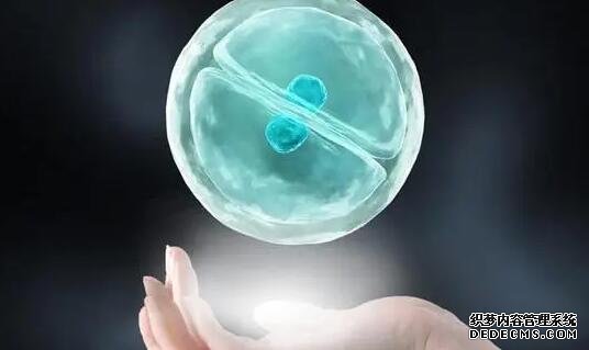 浙江省妇保有供卵吗 杭州供卵试管费用多少，2022浙江供卵试管费用预估 ‘孕17周b超男宝小鸡’