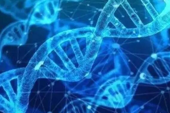 温州试管供卵代怀手续 温州有做第三代试管的吗?哪家医院试管婴儿比较好? ‘做四维是女孩生下来却是男孩’