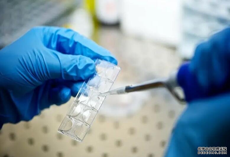 福州哪里有收卵的 022福州试管婴儿医院排行榜，3家试管医院名单公布！ ‘营口伊人26周四维看男女准么’