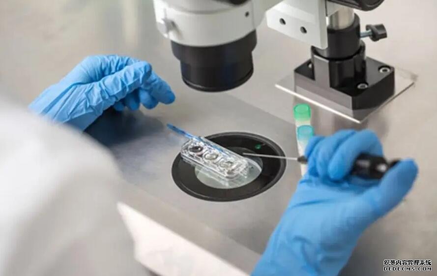 山东助孕QQ 山东试管婴儿医院选择技巧 ‘女孩的四维图片’