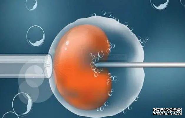 一文解读强的松保胎的原理，强的松的这5大功效不可不知