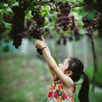 辽宁捐卵试管医院 2022辽宁精子库捐精补助 ‘彩超那些数据可以判别男女’