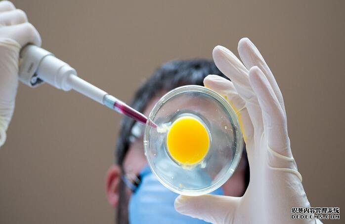 呼和浩特试管婴儿最好的医院 呼和浩特市双角子宫患者正规试管医院排名，2022成功率及费用估算。 ‘营口伊人26周四维看男女准么’