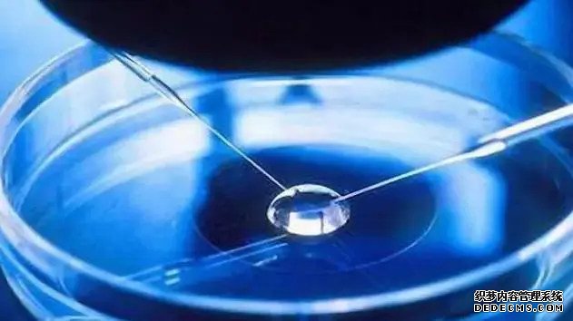 哪里杭州代生比较好 杭州供卵试管医院排名 ‘孕囊三个数在线算男女’